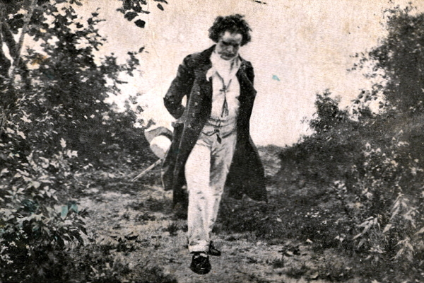 Beethoven's Walk in Nature by Julius Schmid
