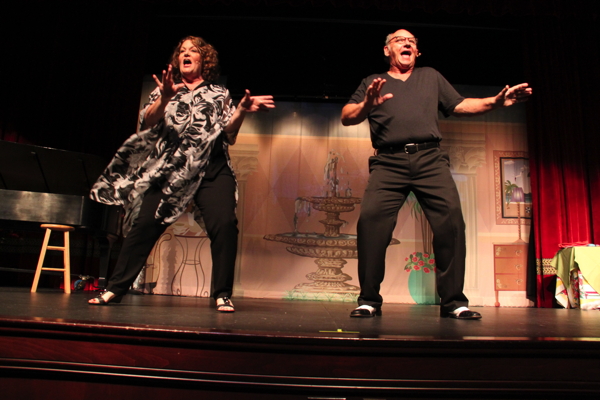 'Assisted Living the musical,' starring Betsy Bennett and Rick Compton, at the Playhouse at Westport Plaza.