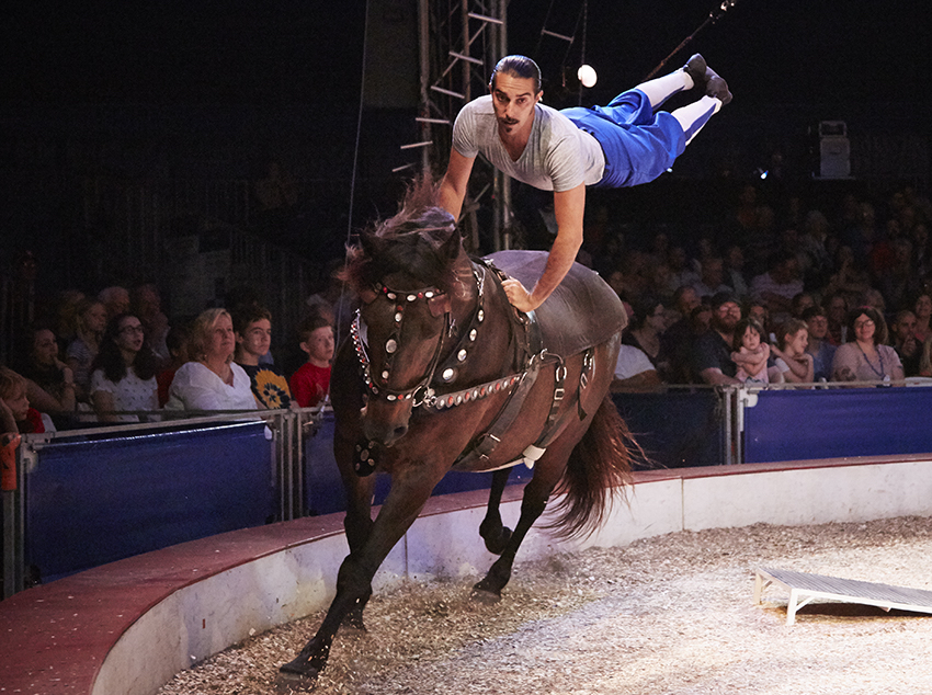 Circus Flora presents 'The Caper in Aisle 6' underneath the Big Top in Grand Center, Photo courtesy of Circus Flora.