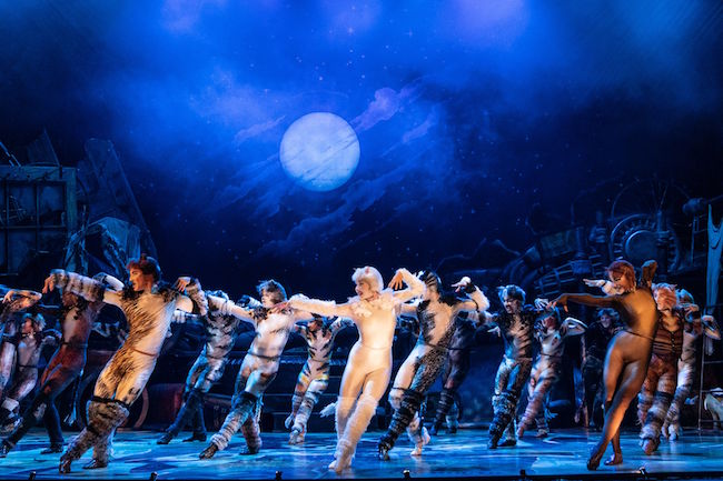 The company of the 2021-2022 national tour of ‘Cats,’ photo by Matthew Murphy, Murphymade. 