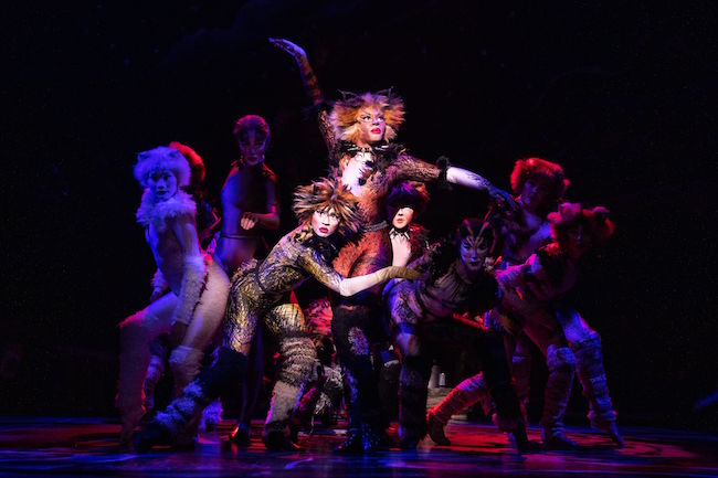 The company of the 2021-2022 national tour of ‘Cats,’ photo by Matthew Murphy, Murphymade.