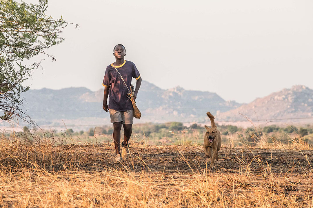 'The Boy Who Harnessed the Wind.' Film review by Diane Carson.