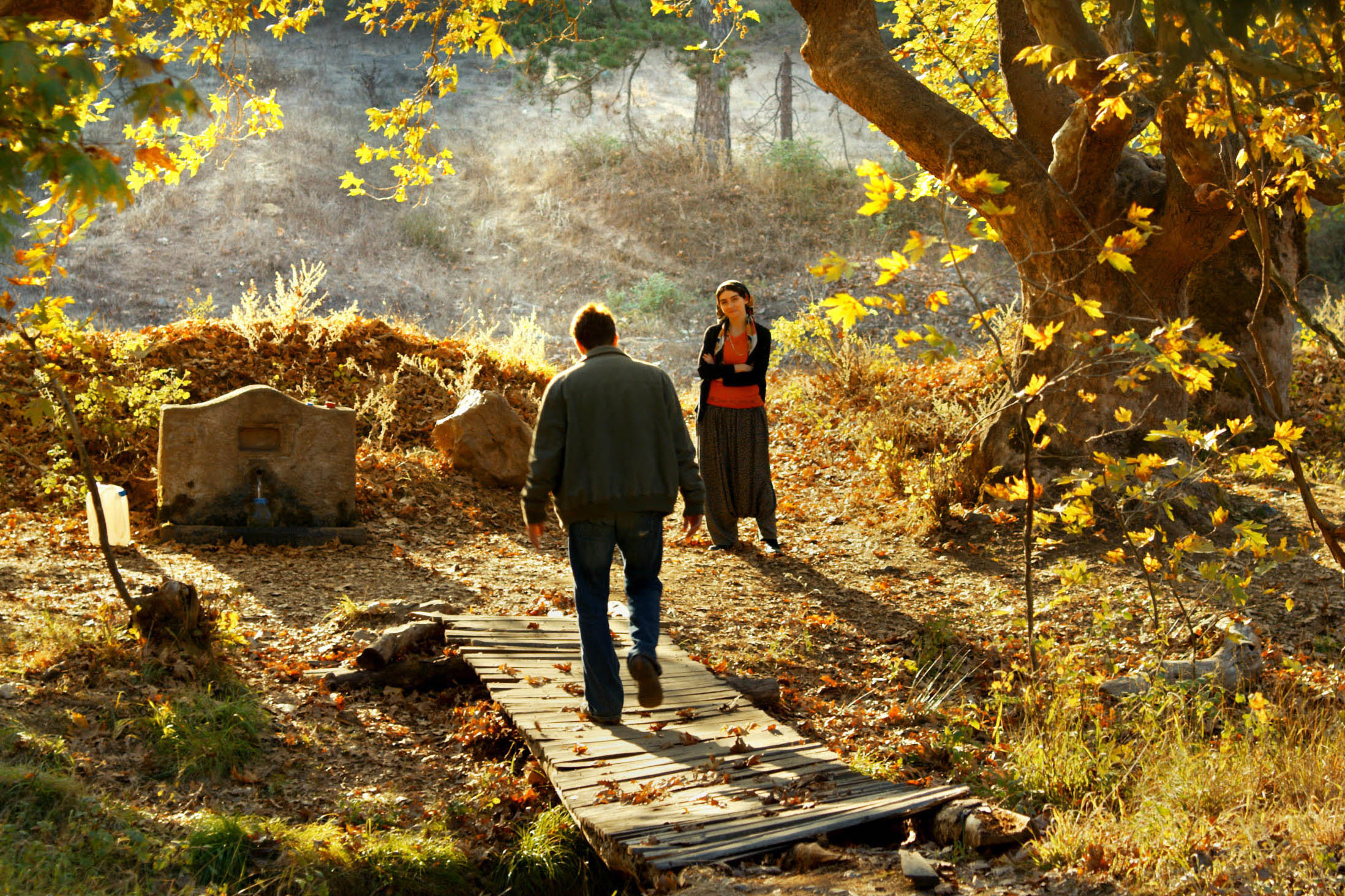 'The Wild Pear Tree.' Film review by Diane Carson.
