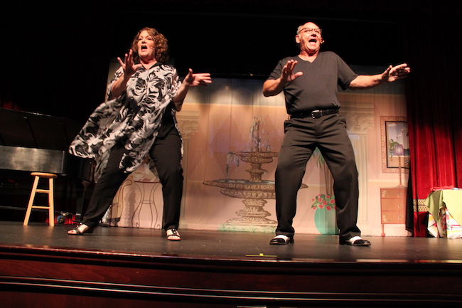 'Assisted Living the musical,' starring Betsy Bennett and Rick Compton, at the Playhouse at Westport Plaza.