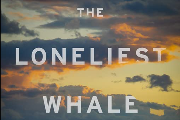 Film Review: 'The Loneliest Whale'