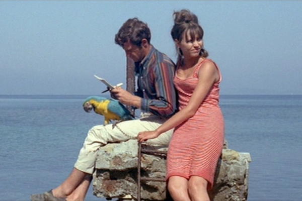 Pierrot le Fou, image courtesy of the Robert Classic French Film Festival