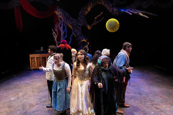 The cast of "Into the Woods." Photo by Jon Gitchoff courtesy of New Jewish Theatre.