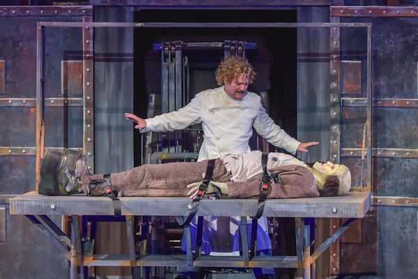 ABC's next primetime musical will be Young Frankenstein Live