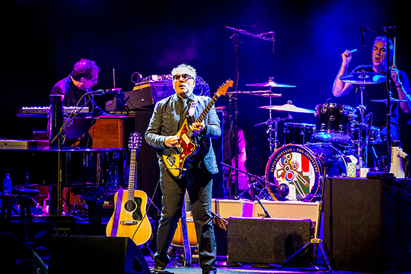 Elvis Costello. Photo by Michele Ulsohn.